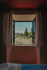 Casa Milhariça, Figueiro dos Vinhos - Image 3