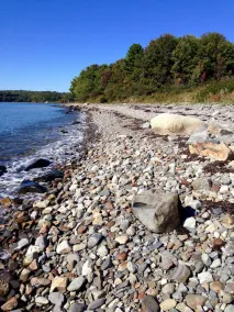 Prime fall week Oct 10-17 available! Enjoy panoramic ocean views, near Camden - Image 4