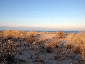 Book Your Beach Vacation Now! - Image 2