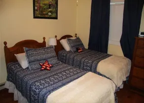 3111  Hot tub, sauna & more resort amenities  Woodland Hideaway - Image 3