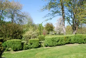 AUX FLEURS DE CERISES - Cottage 4 persone - Image 4