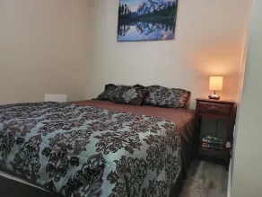 This beautiful comfy basement apartment 5 minutes from the park. - Image 4