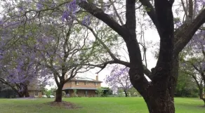 Mulgoa - Country Home - Image 5