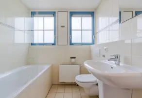 Traditional Villa With Dishwasher on Texel Near the Sea - Image 2