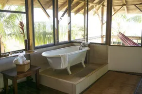 Peaceful ocean view Home in  Ballena Marine National Park.  Walk to Beaches. - Image 3