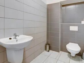 Lavish Cottage Near Ski Area in Cerny Dul - Image 3