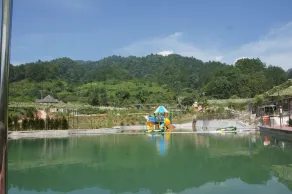 Southeastern Flying Tiger Manor - Image 2