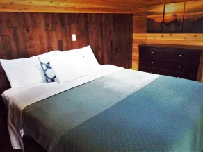 Casa sull'albero di lusso su Spring Lake Ranch - Image 3