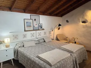 COLLINA PINI - Image 4