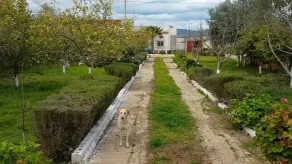 Villa di campagna a 10 minuti dal centro - Image 4