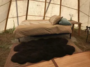 Tipi's ved Stepping Stone - Image 3