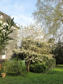 Villa Dampierre - Image 3