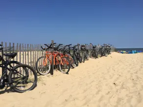 Book Your Beach Vacation Now! - Image 4