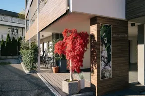 Apartment 'Cityview Apt 3' with Mountain View, Private Terrace and Wi-Fi - Image 5