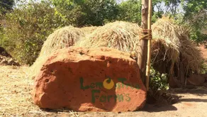 Lemontree Farms - Le week-end parfait pour une escapade près de Mumbai / Pune. - Image 5