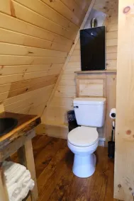Joshua Tree/Unique Lakeview 4 Person A-Frame Cabin - Image 5