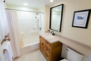 Seneca Lake Waterfront Home with Sauna, Game Room, on Finger Lakes Wine Trail - Image 3