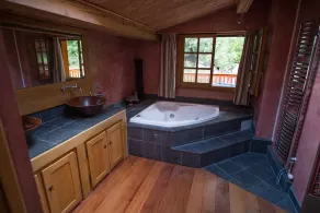 Stunning chalet with best views of Mont Blanc, large garden, hot tub, sauna, - Image 3
