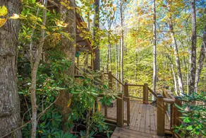 Sweetwater Cottage - Private Cottage Tucked in the Woods - WJ & Boone - River Access - Image 2