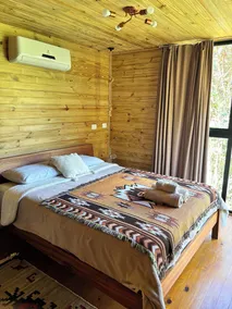 Into The Wild Cabin - Image 4