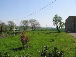 Casa il Ponte immersa nel verde delle colline pisane - Image 5