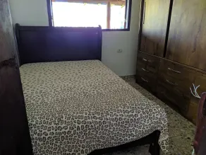 House of tranquility - Image 4