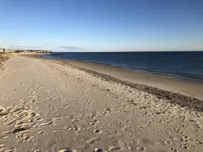 Falmouth Breezes on the Cape - Image 5