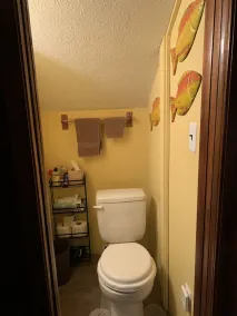 Cabin Located in the Manistee National Forest with all the Comforts of Home - Image 5