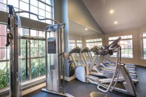 Brand New 1BR in the heart of Houston Med Center - Image 2
