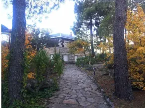 Charming rustic chalet with fabulous garden - Image 4