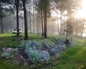 The Bears Den Dakota Dream B&B. Secluded, Close to Custer, Great Breakfast! - Image 5