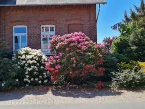 Ferienwohnung Annegret Schuback - Image 4