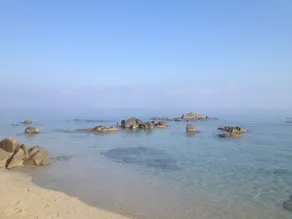 Tropea apartments for rent - Image 4
