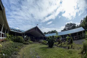 Hamakua Eco-Lodge Retreat Center in einem abgelegenen Naturschutzwald - Image 2