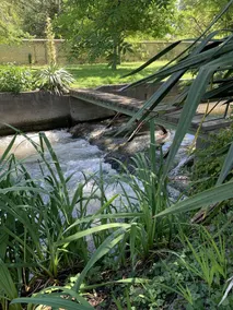 Peace and relaxation on the banks of the Eure - Image 3