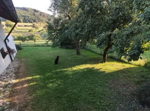 Vacation apartment on the Swabian Alb on the outskirts of town w/panoramic view - Image 5
