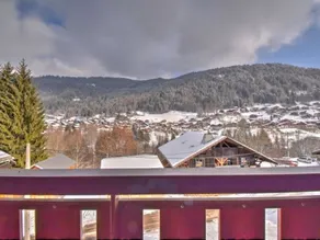 Appartement 2 pièces proche du centre de Morzine, animaux admis - Image 4