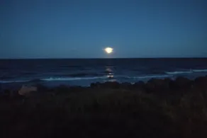 Paz, tranquilidad y serenidad de la naturaleza ... ¡con prácticamente su propia playa de arena! - Image 4