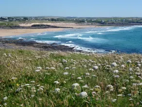 En skjult perle - Cornish Cottage med privat delt dal og strand - REDUCERING - Image 4