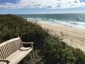 Lovely Oceanfront Cottage Plus 1BR Cabin on Beautiful, Pristine Beach - Image 5