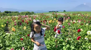 Si tratta di una locanda per famiglie con un giardino nel centro del lago Toya Onsen, vicino al lago e circondato da ristoranti. - Image 2