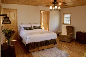 Cabin Home with spectacular rushing stream! - Image 5