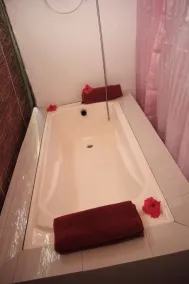 Ocean of Life Ayurvedic Resort - Image 2