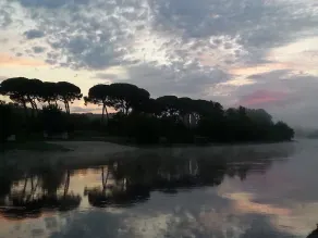 Tranquil Riverside Suite - Image 4