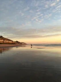 La Selva Beach Guest Suite, Pet Friendly - Image 5