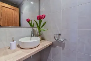 Spektakulär villa med jacuzzi, i avokadobutik, kapacitet för 19 personer - Image 3
