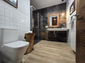 Entre Acebedas Country House, Segovia, 1 hour from Madrid, with a fireplace. PRIVATE bathrooms. - Image 3