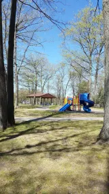 COTTAGE LAKEFRONT / LK. GEORGE, MI / FAMILLE- CONVIVIAL - Image 2