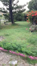 Come stay in an authentic Bajan Chattel Home in lovely St. Phillip - Image 4