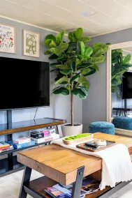 Hidden gem in vibrant downtown Redmond mins/ from Microsoft Marymoor,Woodinville - Image 2